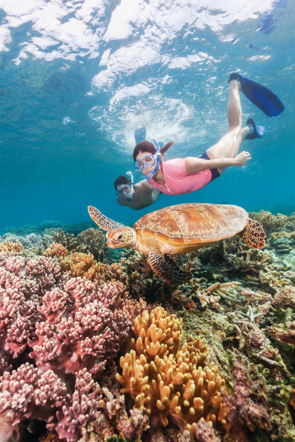 大堡礁（Great Barrier Reef）_副本.jpg