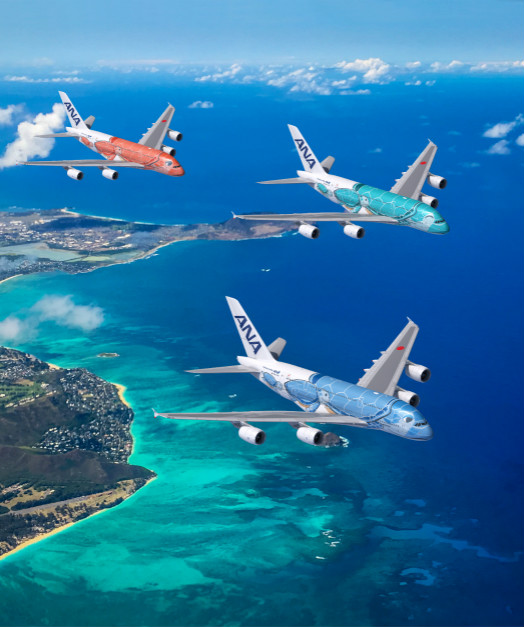 夏威夷旅游局携手全日空推A380海龟彩绘机执飞夏威夷
