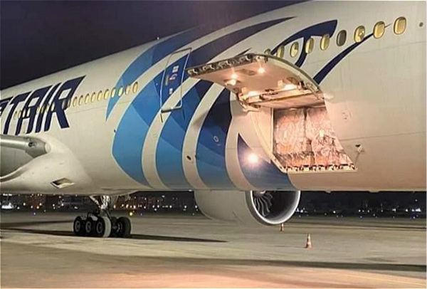 埃及航空持续执飞货运航班 &ldquo;客改货&rdquo;助力医疗物资运输流通