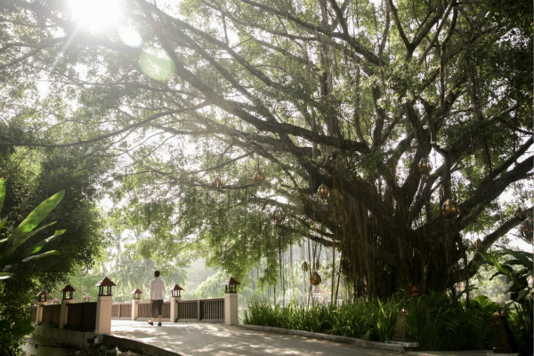 悦榕集团为后疫情时代出行打造&ldquo;养修之旅&rdquo;