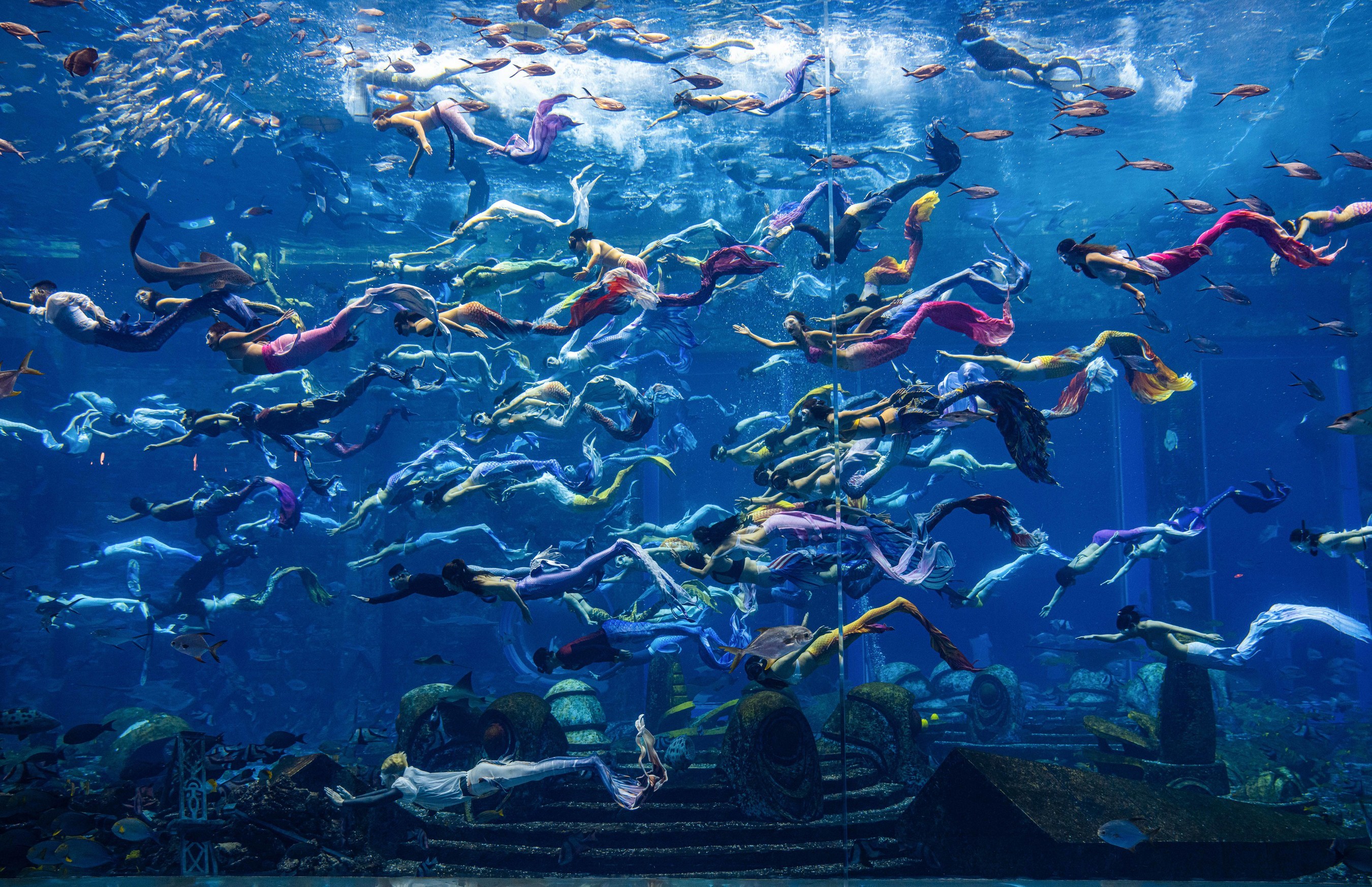 PADI携三亚亚特兰蒂斯创“最大规模的水下人鱼秀”吉尼斯世界纪录