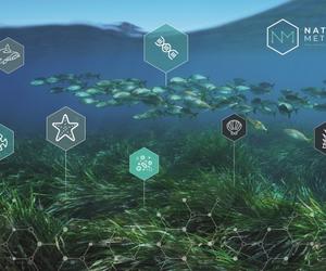 MSC地中海邮轮和MSC地中海基金会携手NatureMetrics，共同推动濒危海洋生物研究