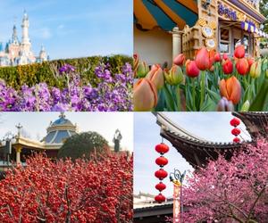 “迪士尼彩色庆典”缤纷升级 ，邀游客在上海迪士尼尽赏绚烂春天
