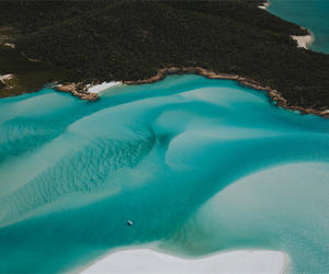 澳大利亚昆士兰圣灵群岛被列为世界鲸鱼遗产区