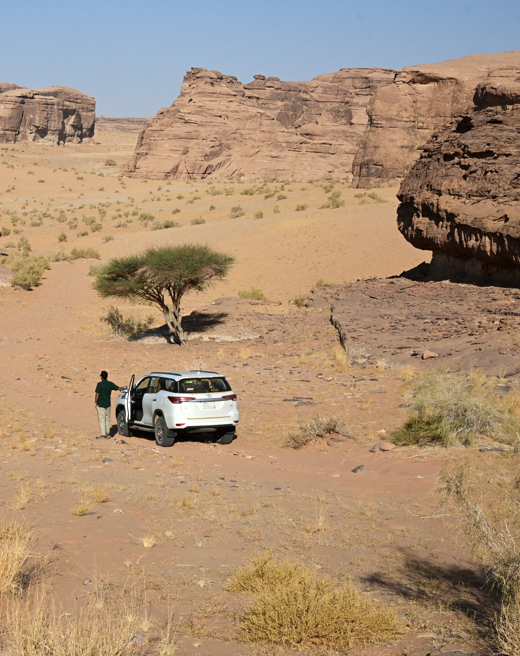 埃尔奥拉引进EarthRanger系统，赋能生态保护